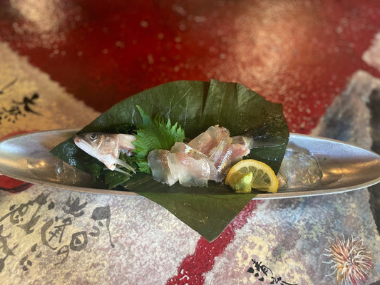 今期300匹以上注文の【鮎のお刺身】