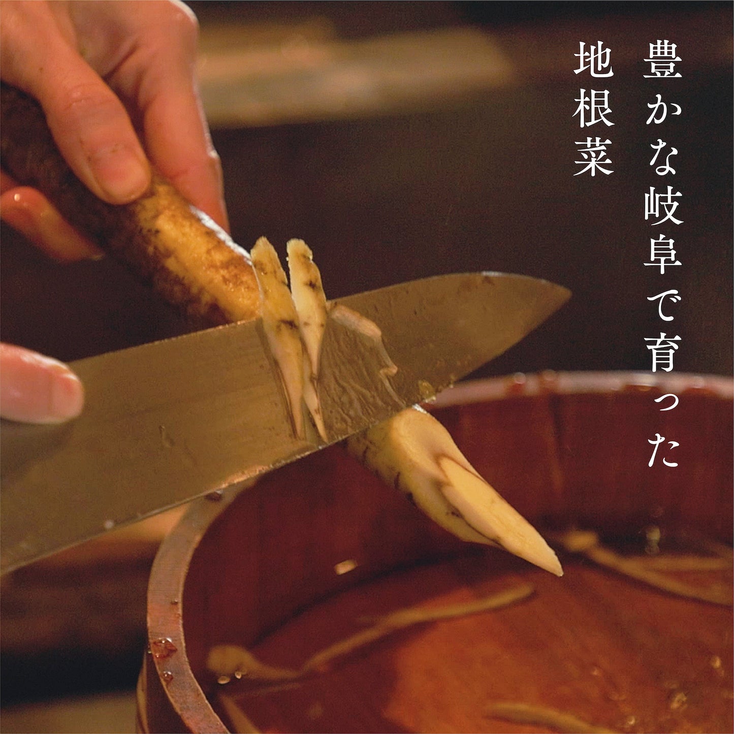 豊かな岐阜で育った地根菜